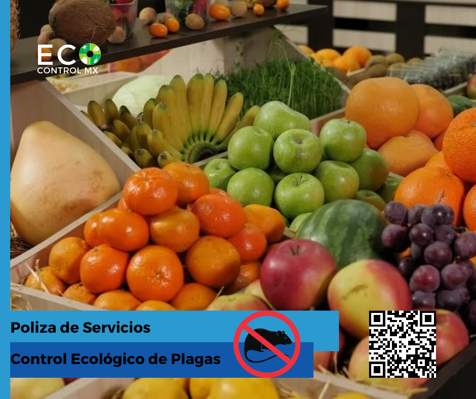 Control de Plagas Comercial